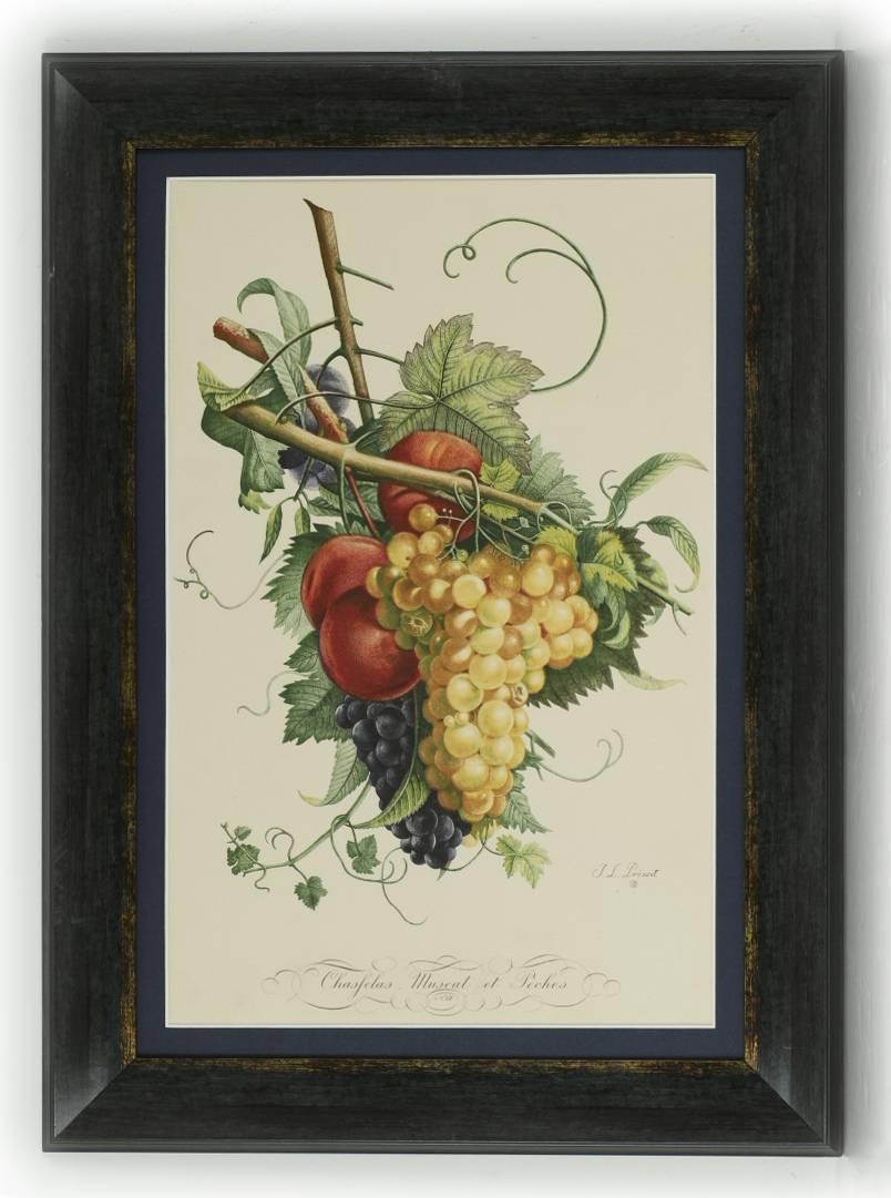 Jean Louis Prévost Still-Life Print - Chasfelas, Muscat et Peches No 12 (Grapes and Peaches)