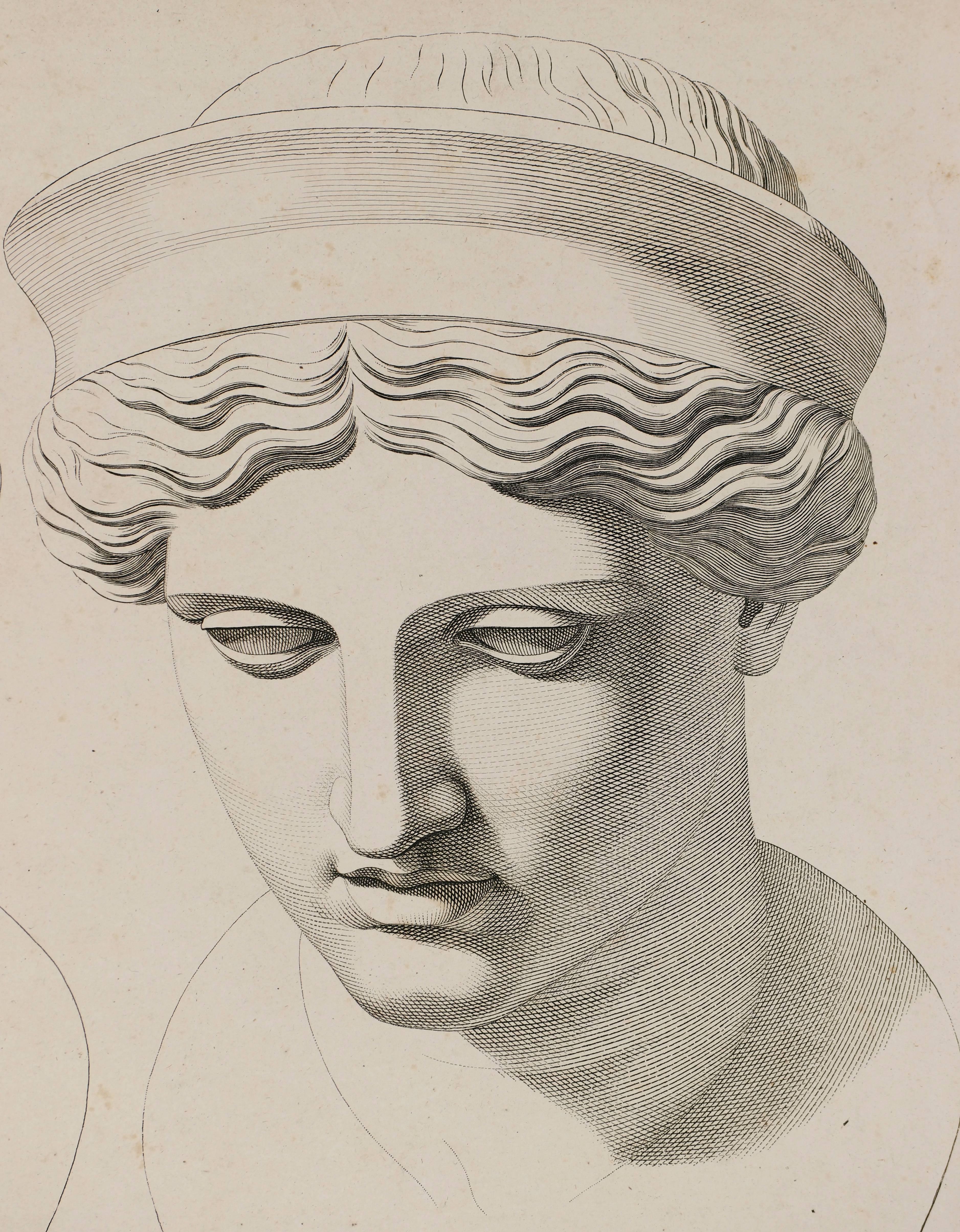 Barberini Head of Juno - Print by Unknown