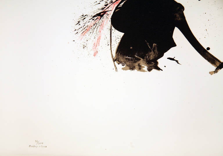 salvador dali bulfighter