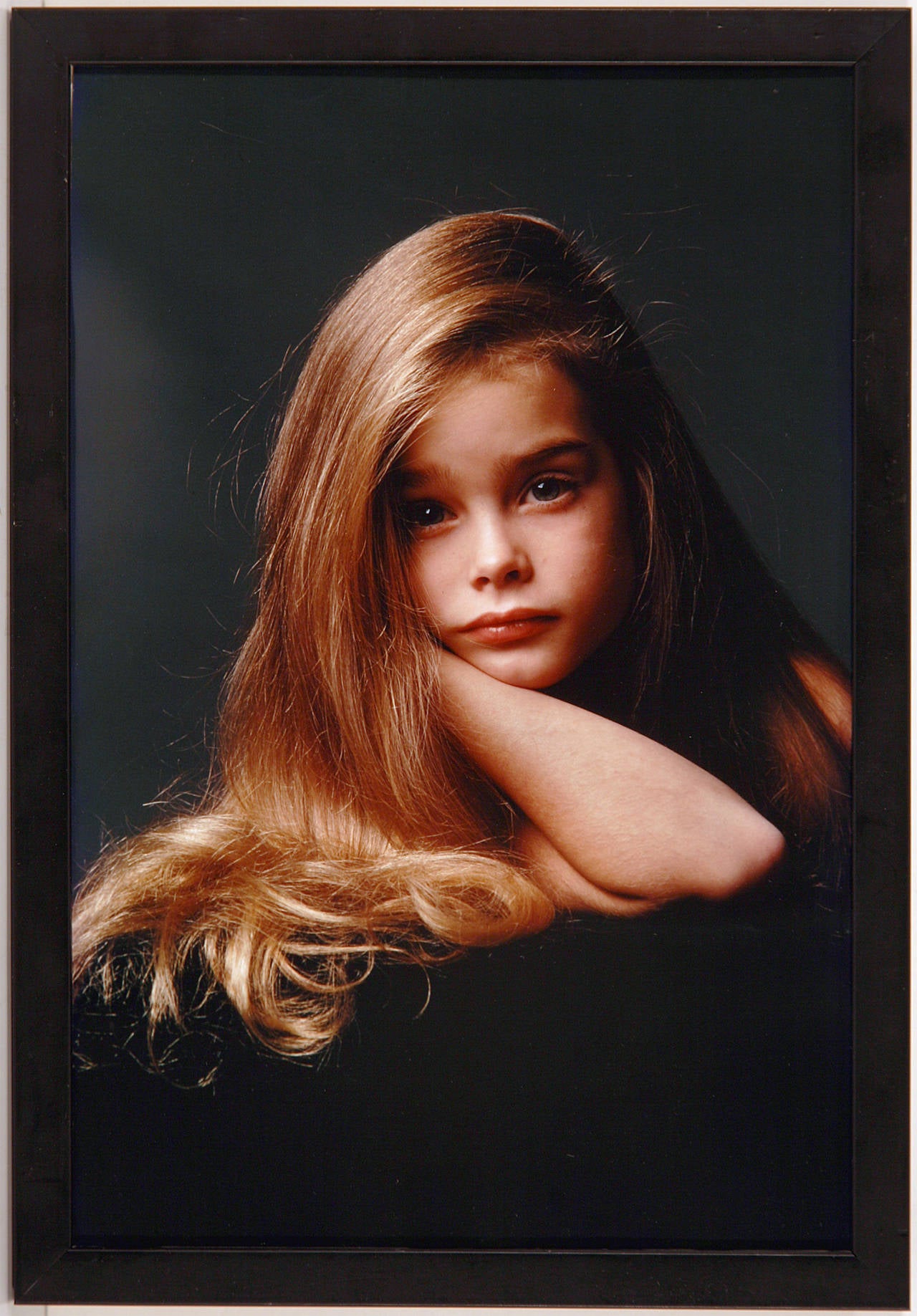 Henry Wolf - Brooke Shields Portrait For Sale at 1stDibs