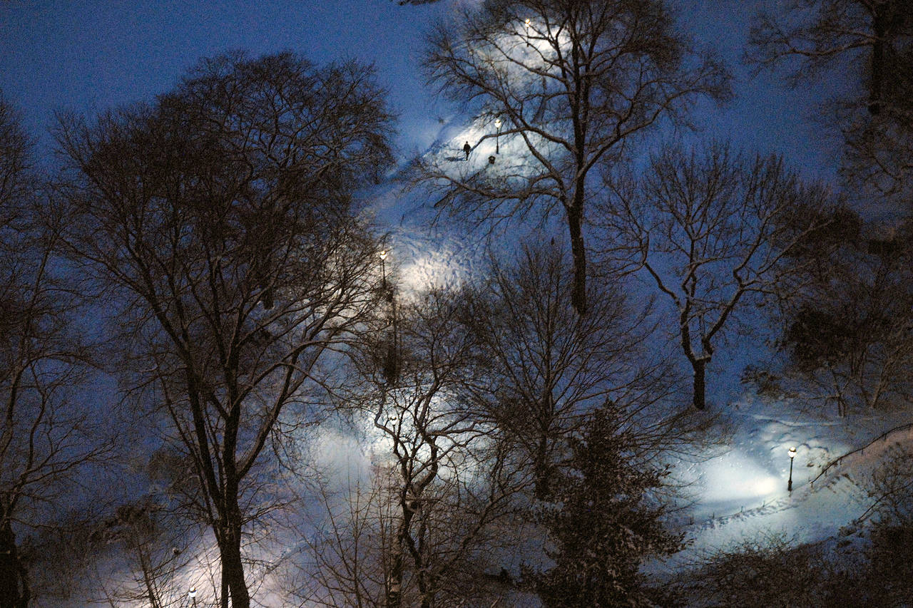 Joseph Keller Landscape Photograph - A Winter Walk in Central Park
