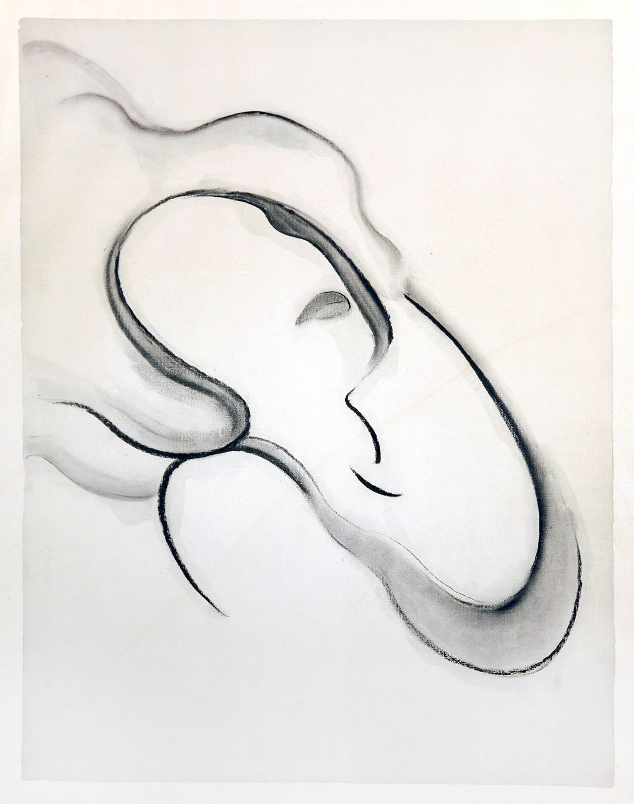 Als die Künstlerin Georgia O'Keeffe die eigentlichen ersten Zeichnungen schuf:: die in dieser limitierten Druckmappe mit dem Titel "Georgia O'Keeffe Drawings" veröffentlicht wurden:: war sie noch unbekannt. Ihre 1915 begonnenen Zeichnungen waren