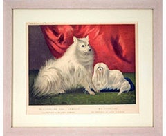 Portrait of Charley the Pomeranian and Hugh the Maltese