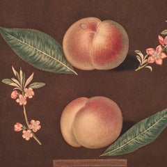 Peaches