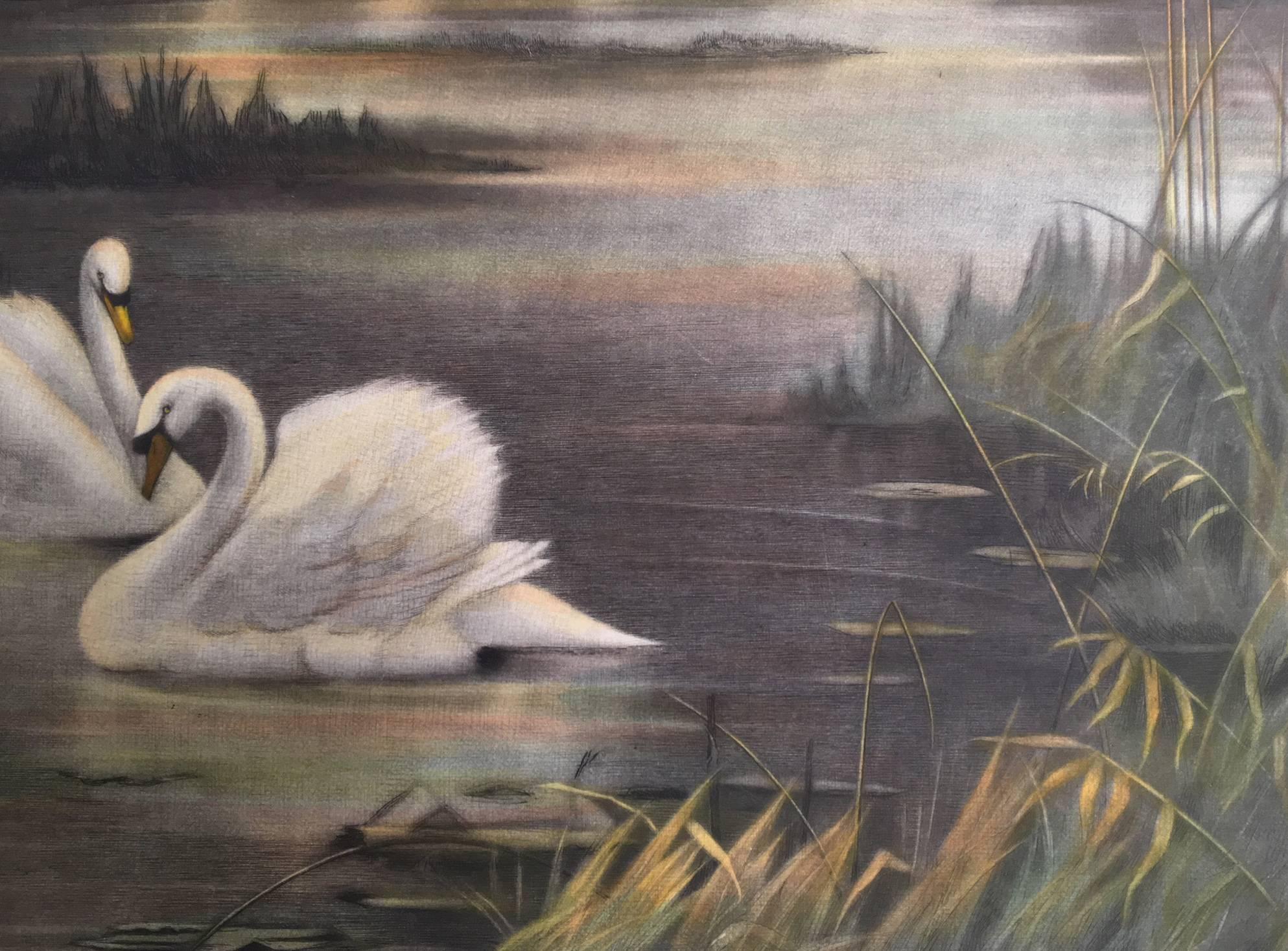 Hand-colored engraving on paper by artist Fred Miller, after a painting by English artist Valentine Davis (1854 – 1930). The piece shows a peaceful lake landscape with two swans in the foreground, as daylight breaks majestically over a distant farm