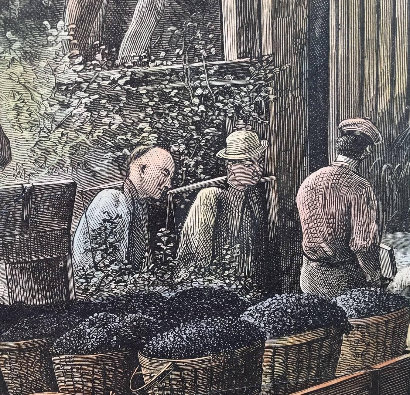 « The Vintage In California - At Work At The Wine-Presses » (Le vintage en Californie - Au travail dans les médias du vin) - Print de Paul Frenzeny