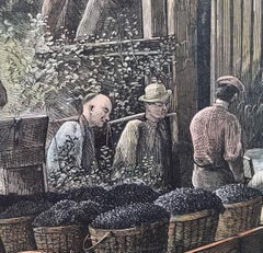 "The Vintage In California—At Work At The Wine-Presses"