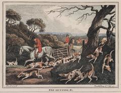 Fox Hunting