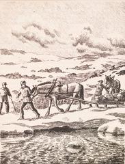 Horse Pulling Supplies