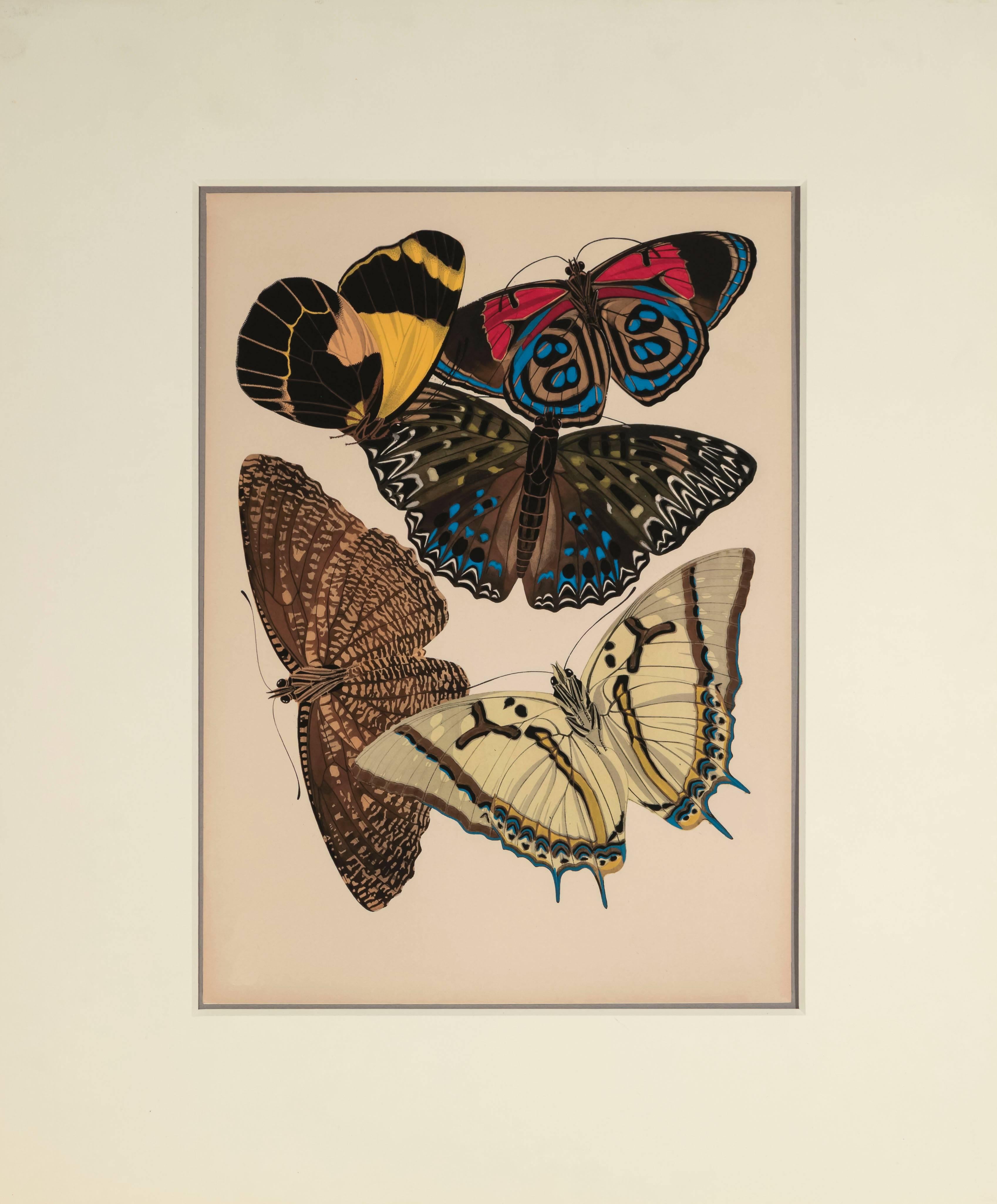 Emile-Allain Séguy  Figurative Print - Papillons Plate 12