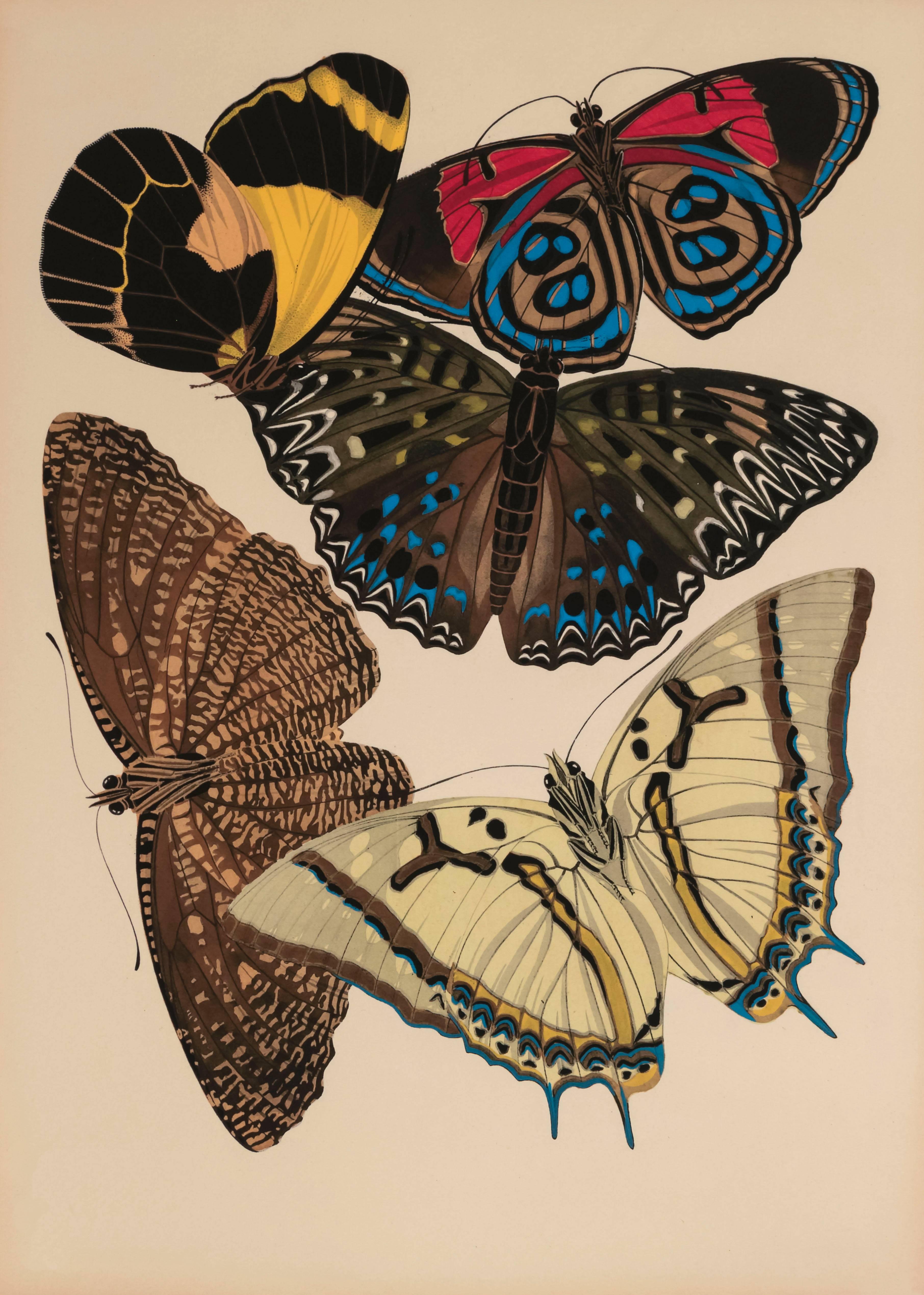 Papillons Plate 12 - Print by Emile-Allain Séguy 