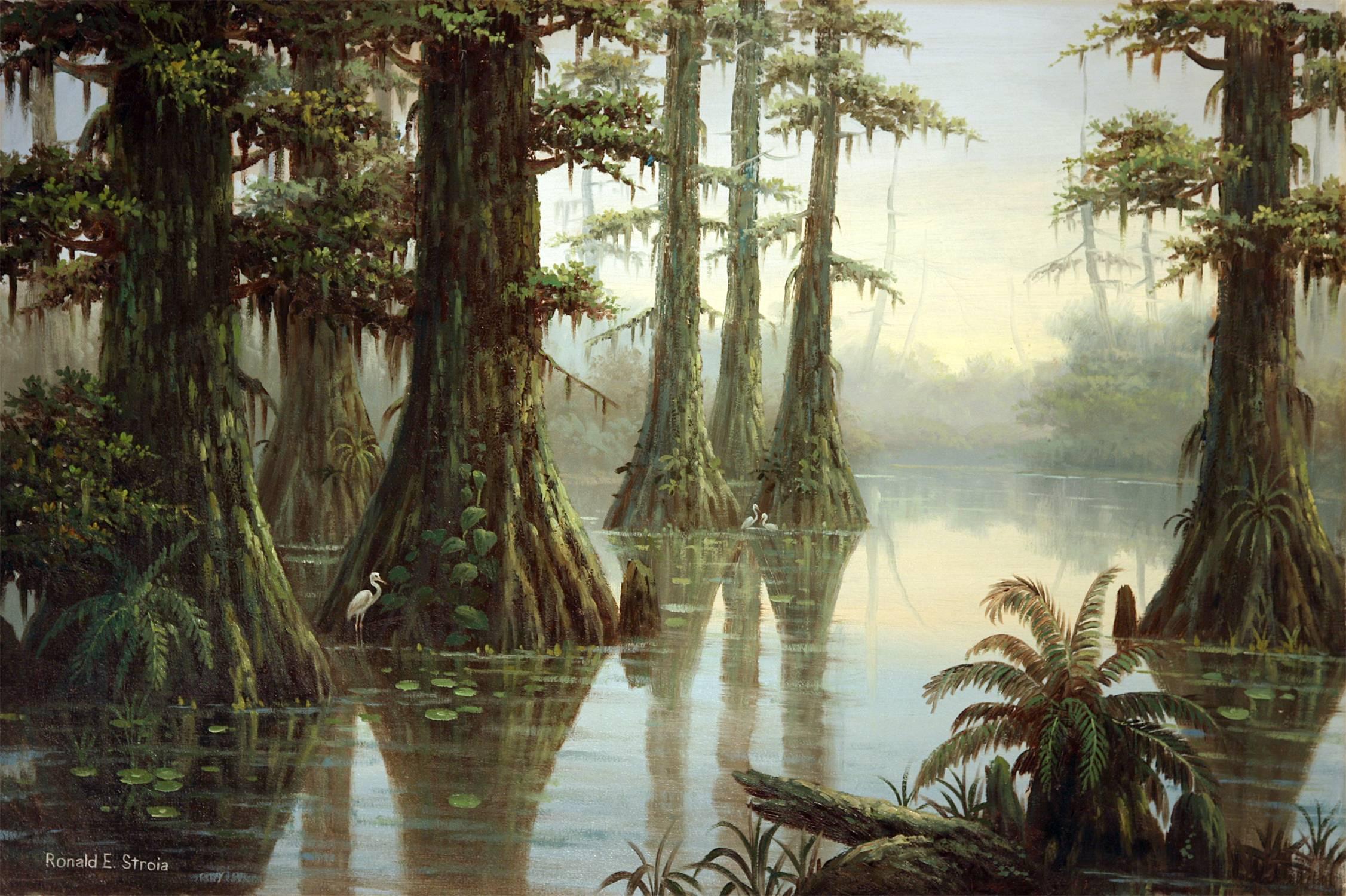 Ronald E. Strois Landscape Painting - Florida Everglades, Big Cypress National Preserve