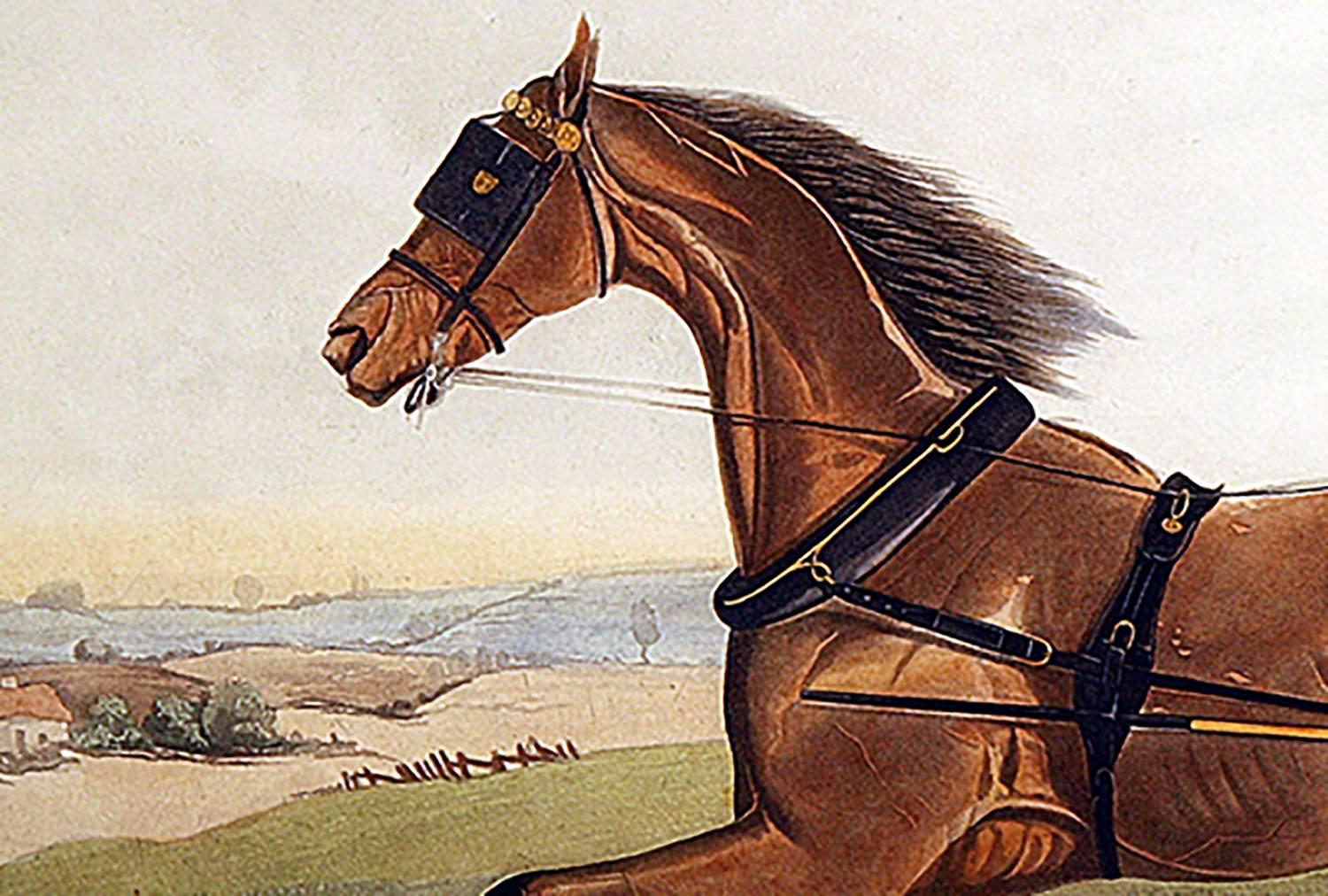 Trotter in the English Countryside - Print by J. R. Mackrell
