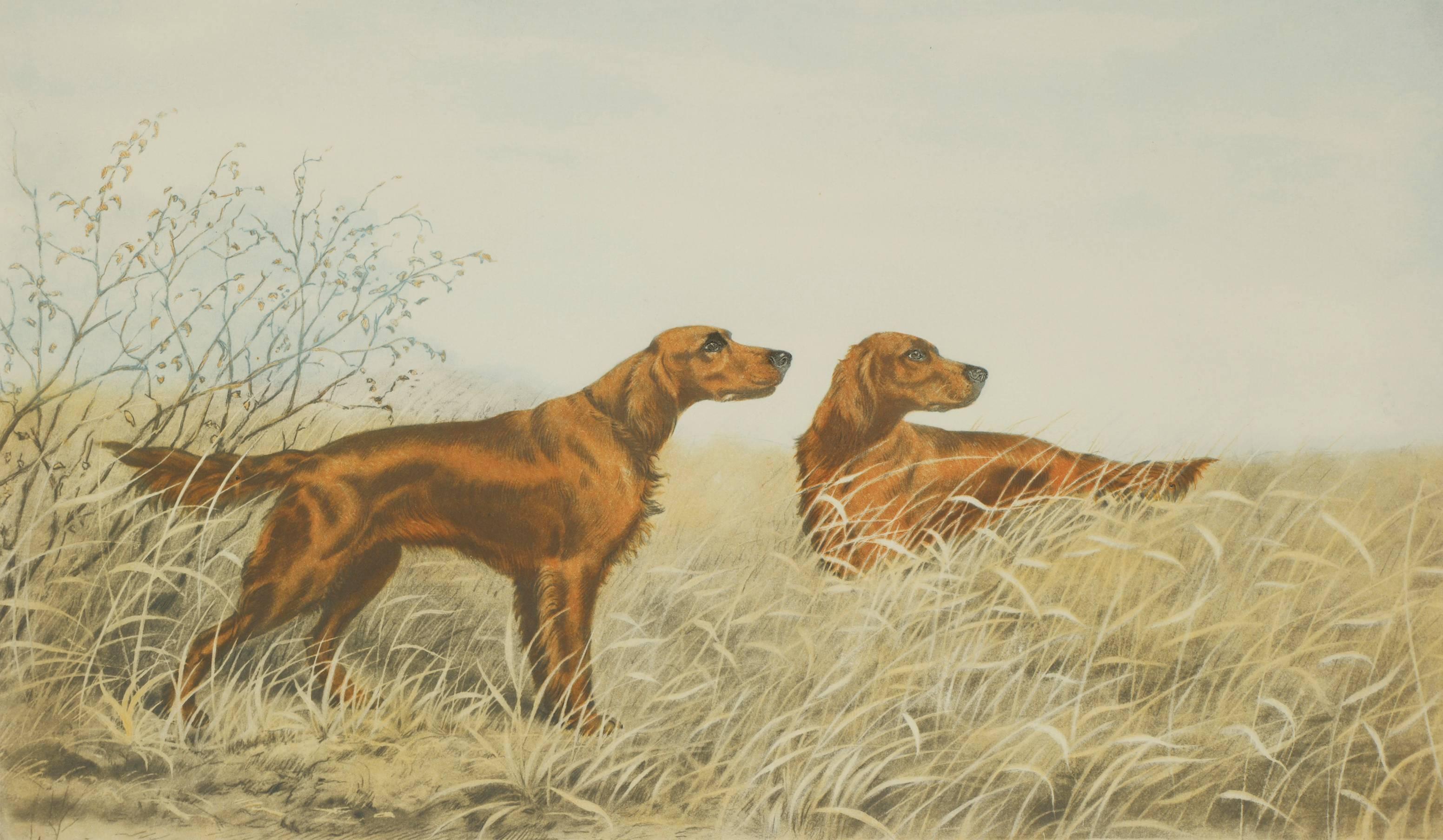 Deux Setters irlandais - Print de Leon Danchin