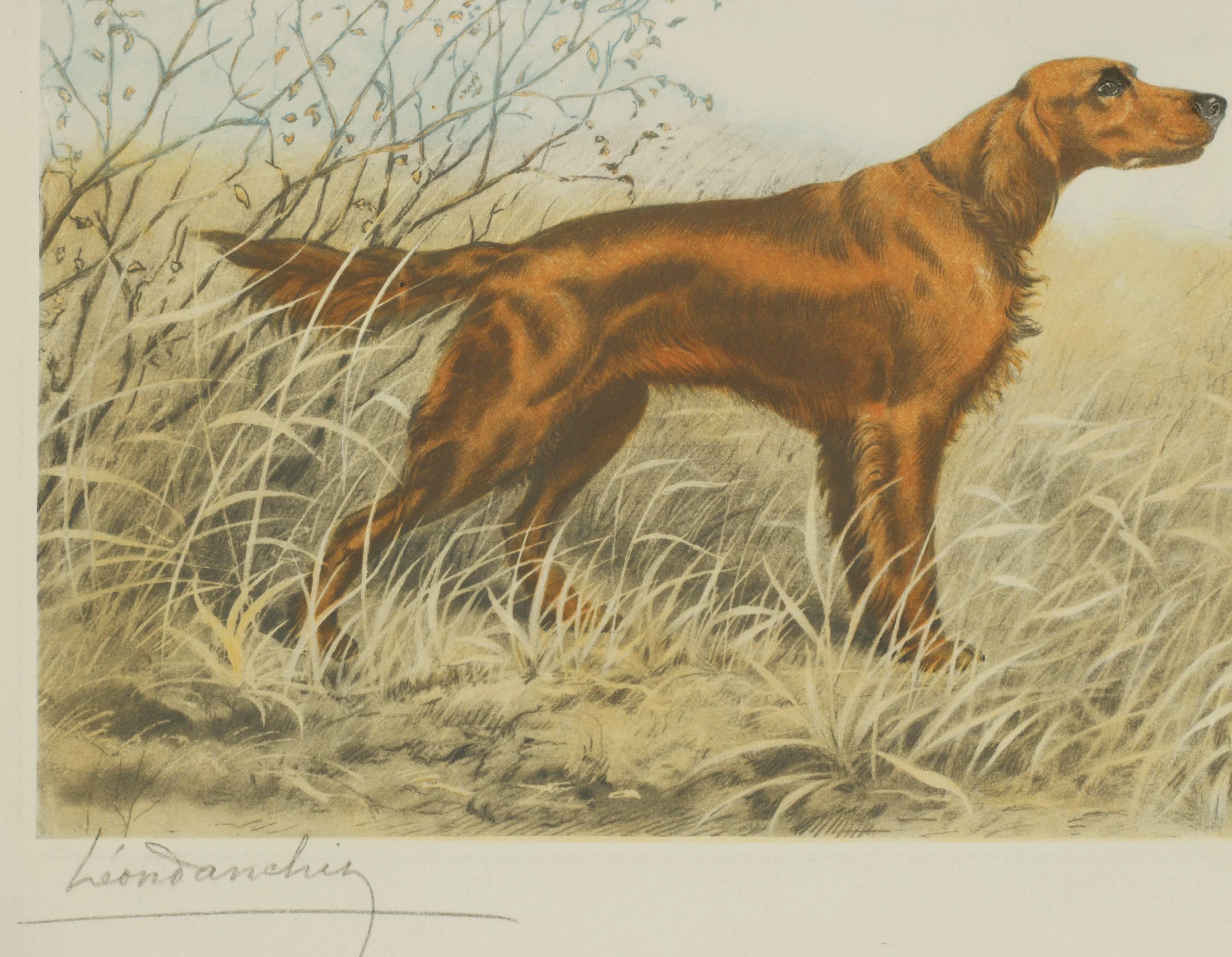 Deux Setters irlandais - Réalisme Print par Leon Danchin