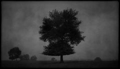 Silver Gelatin Print Paintings
