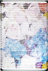Flower Mesh IV
