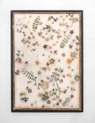 In a dream you lay down in a fallow field and cried out my name