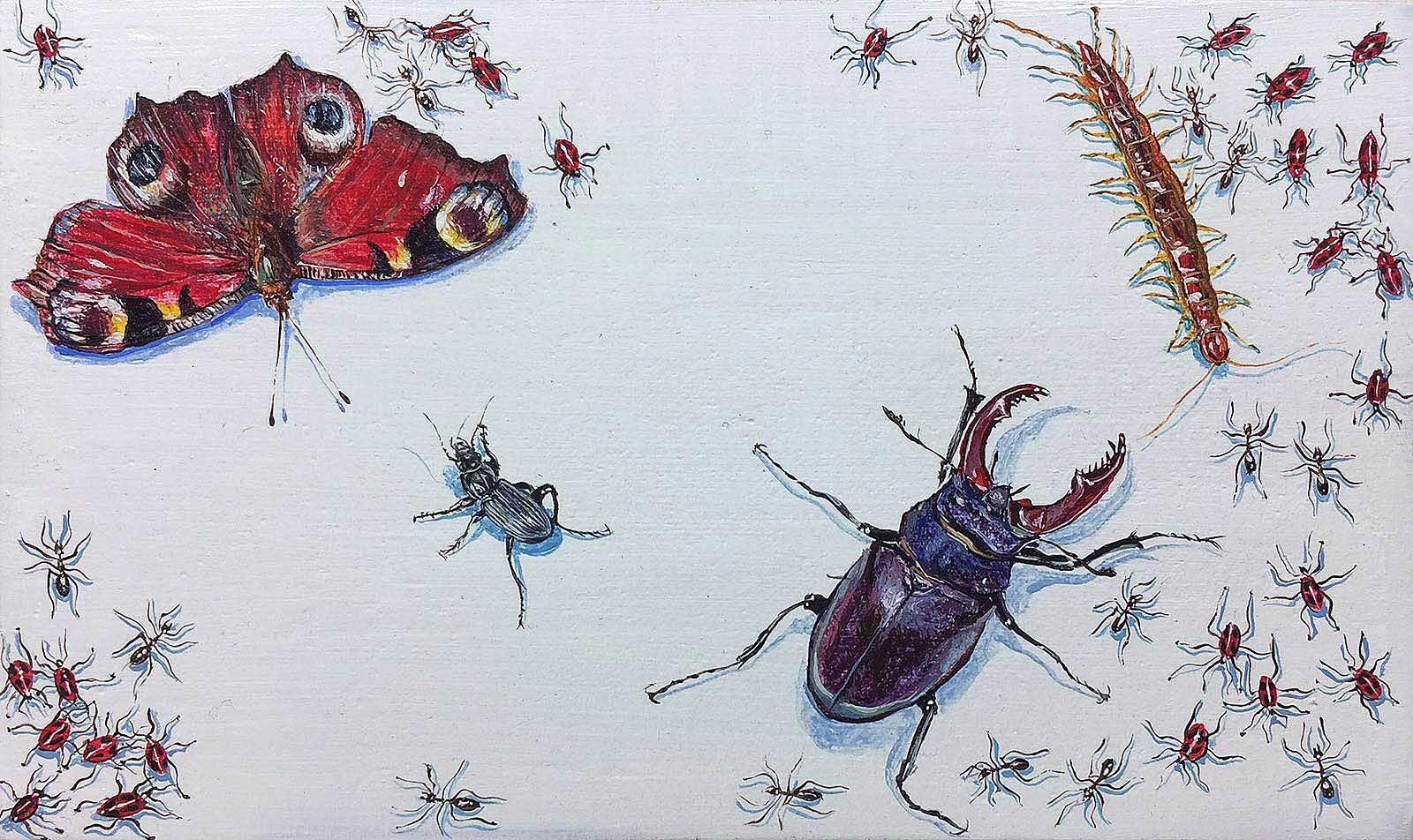 Luke Williams Animal Painting - Stag Beetle