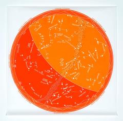 Rene Trevino, Renaming the Constellations, Orange, framed acrylic painting