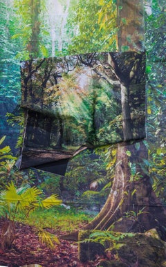 Kalee Appleton, Sunrays in Rainforest, unique framed photography print