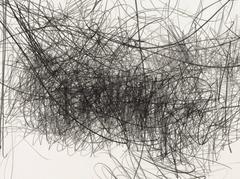 Morgan O'Hara Performative Drawing Live Transmission: Kevin Norton Performance