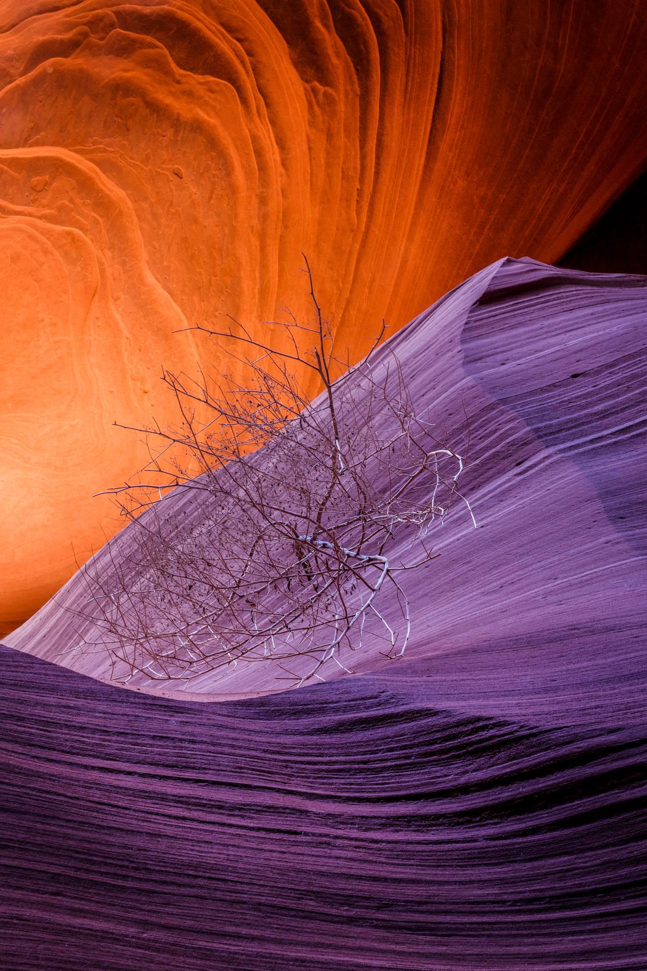 Jessica Fridrich Landscape Photograph - Arizona landscape photography with orange and purple , "Orphan", UV laminate