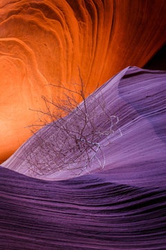 Arizona landscape photography with orange and purple , "Orphan", UV laminate
