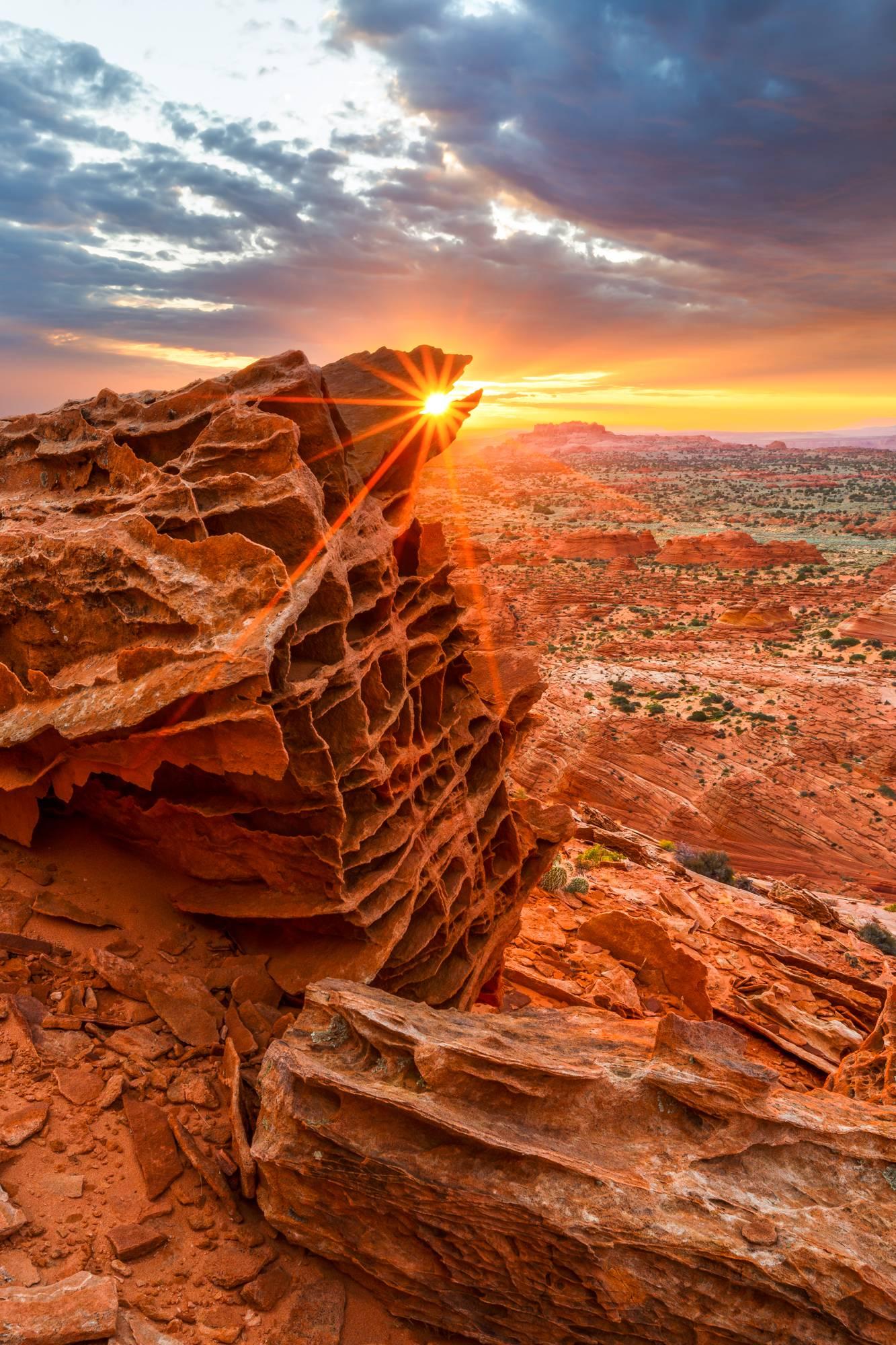 Jessica Fridrich Landscape Photograph - Arizona landscape photography with red and yellow, "Resurrection", UV laminate