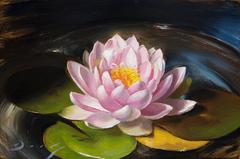 Realist pink white and yellow flower, "Water Lily", oil on panel, small scale