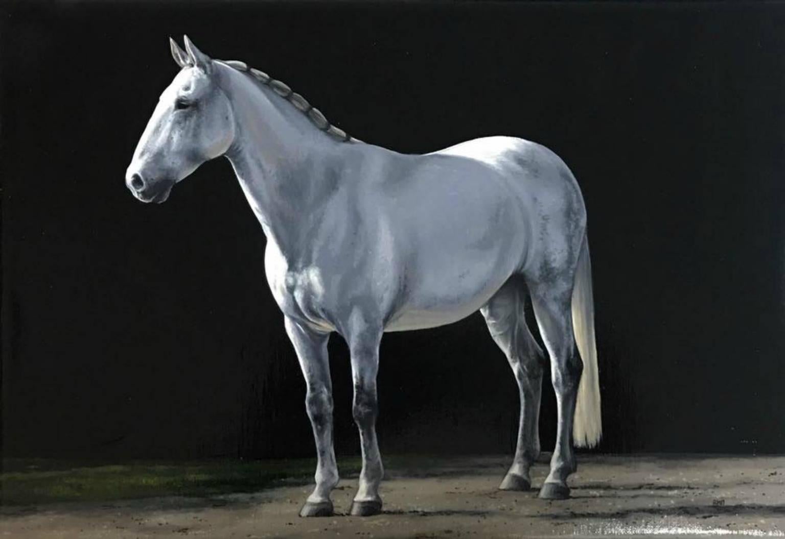 Richard Heisler Animal Painting - Photorealist painting of a white horse, "Rio", Inspired by George Stubbs