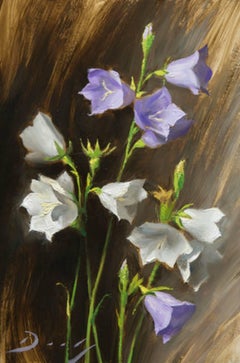 Bellflowers