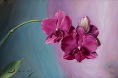 Orchid in Lavender and Blue