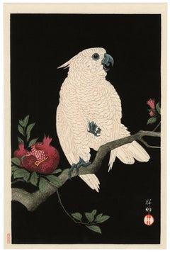 Cockatoo on Pomegranate — Shin-Hanga Japanese Woodblock Print Masterwork