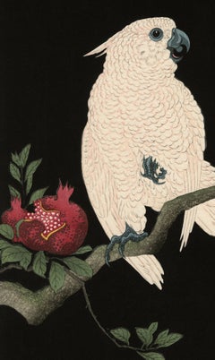 Cockatoo on Pomegranate — Shin-Hanga Japanese Woodblock Print Masterwork