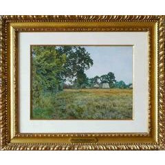 A Hayfield Bedfordshire 5