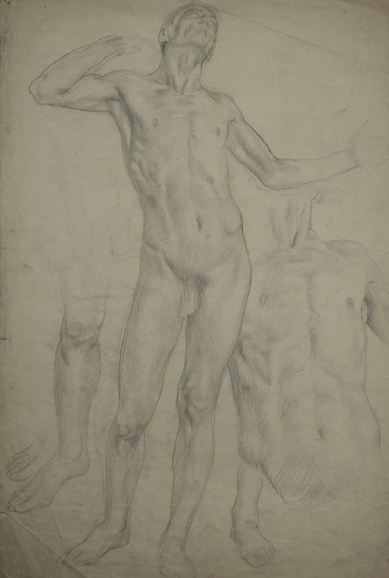 Male Nude Study - Art by Robert John Swan