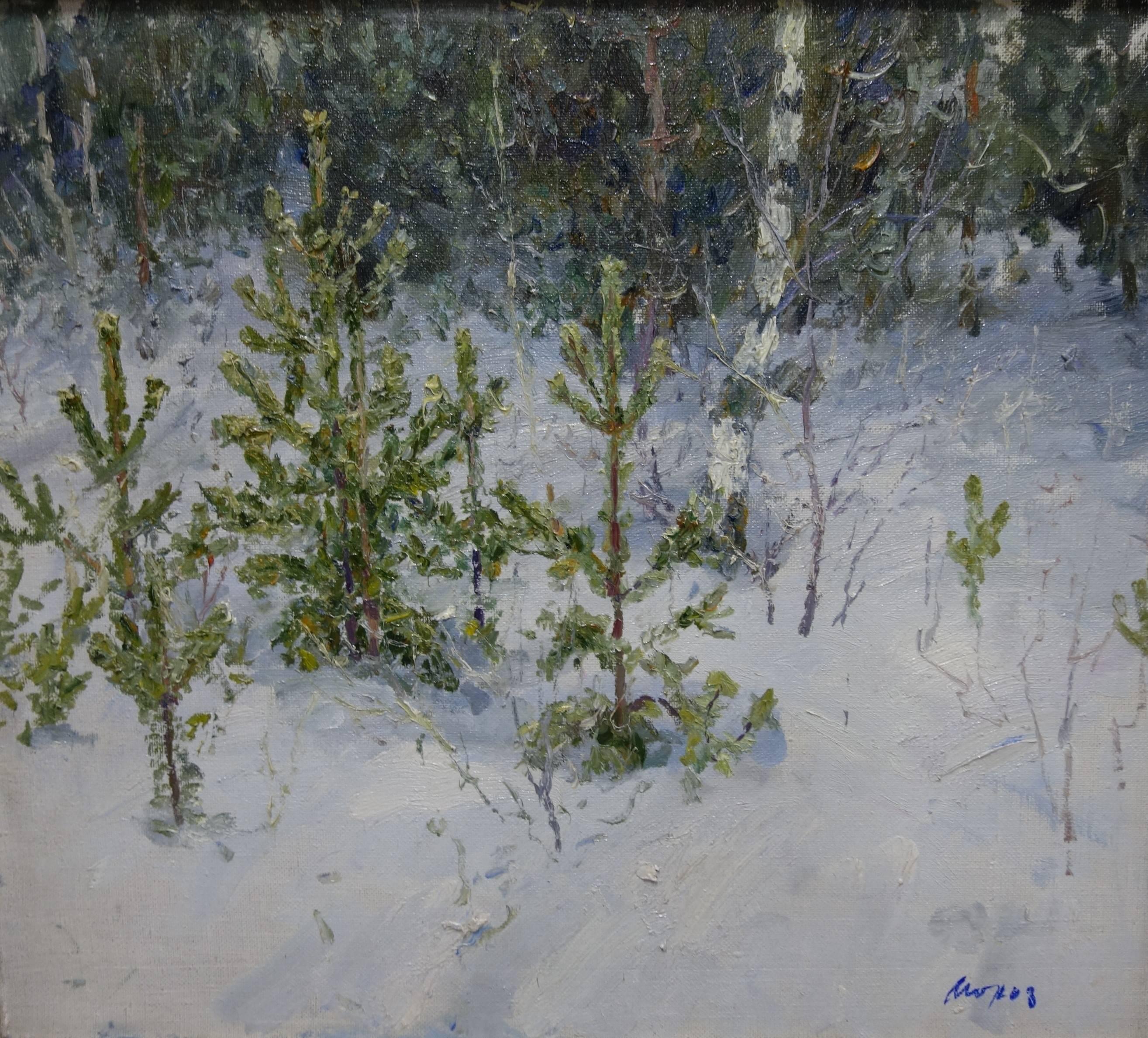 Georgij Moroz Figurative Painting - Young fir trees in the forest - Oil, cm. 70 x 62, 1996