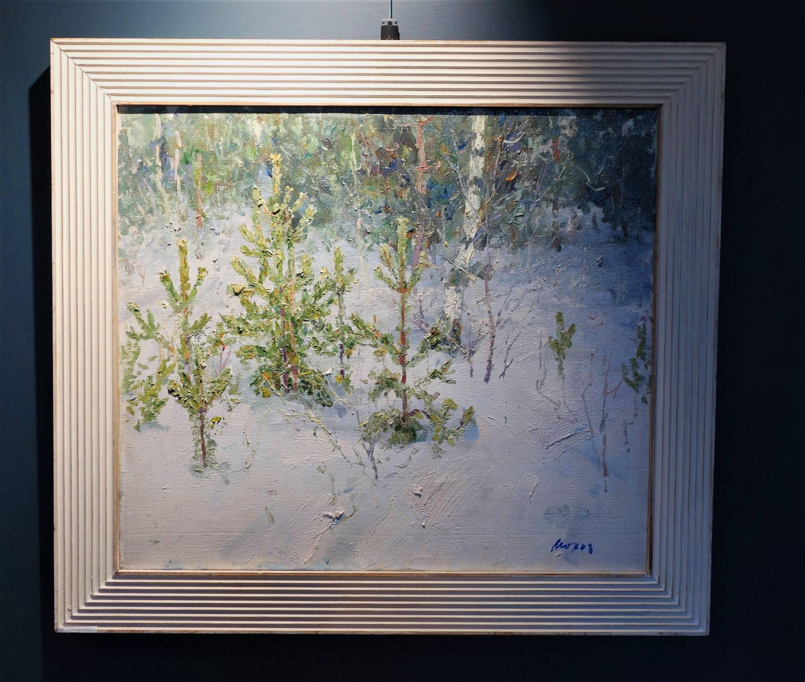 Young fir trees in the forest - Oil, cm. 70 x 62, 1996 - Painting by Georgij Moroz