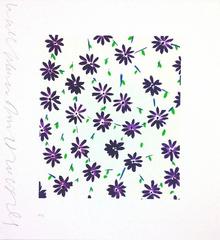 Purple Wallflowers 12