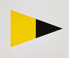 Black Yellow 10