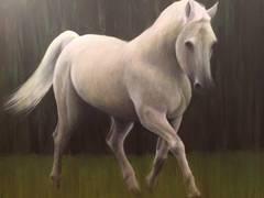 White Horse in a Green Field