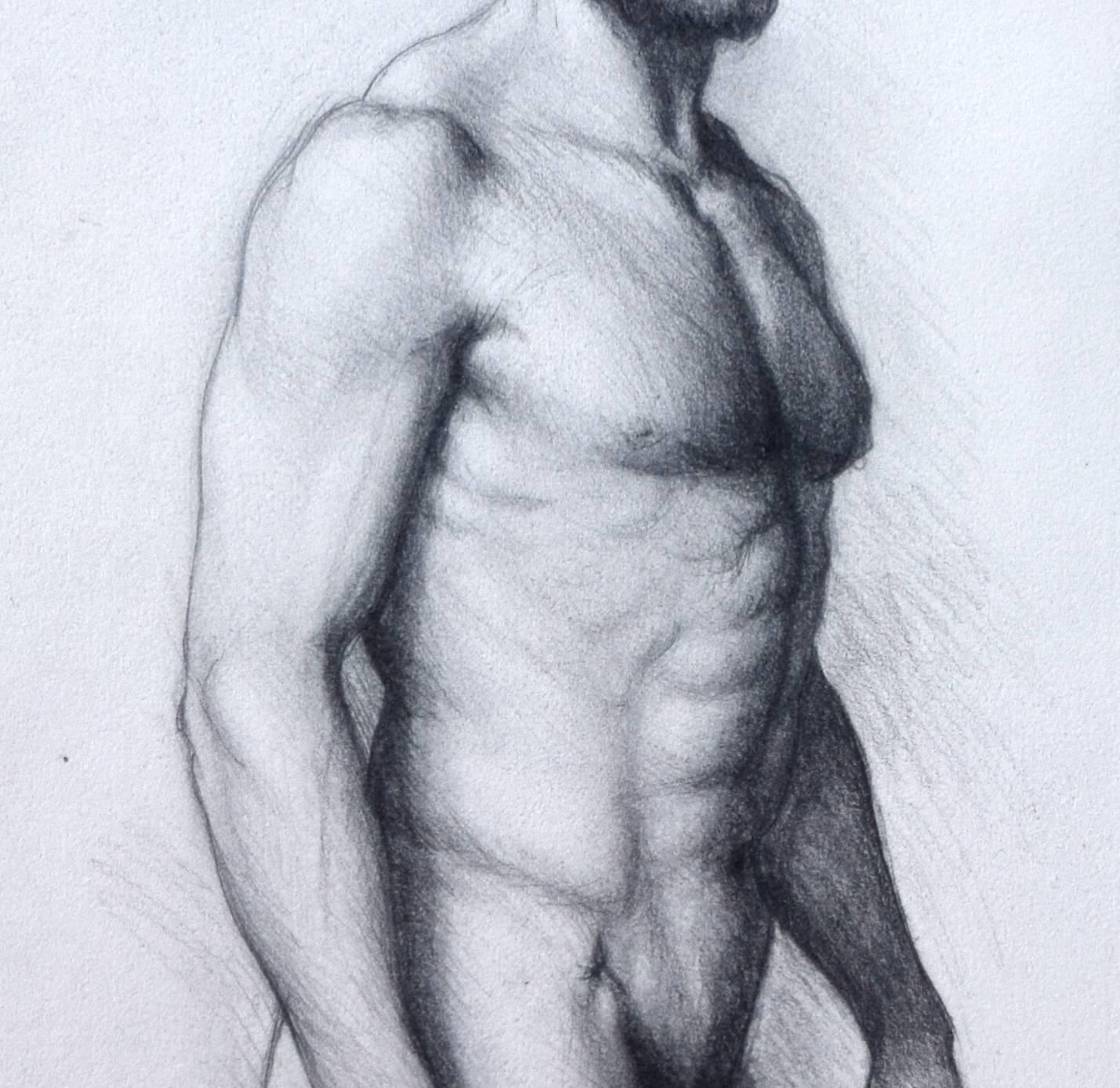 Study of Adriano - Art by Matthew Collins