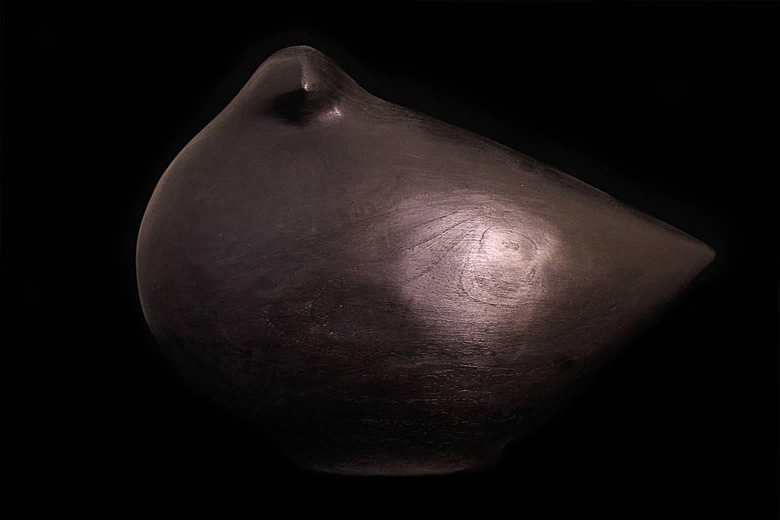 Unknown Figurative Sculpture - Large Ebony Dove Brancusi Inspired Hand Carved
