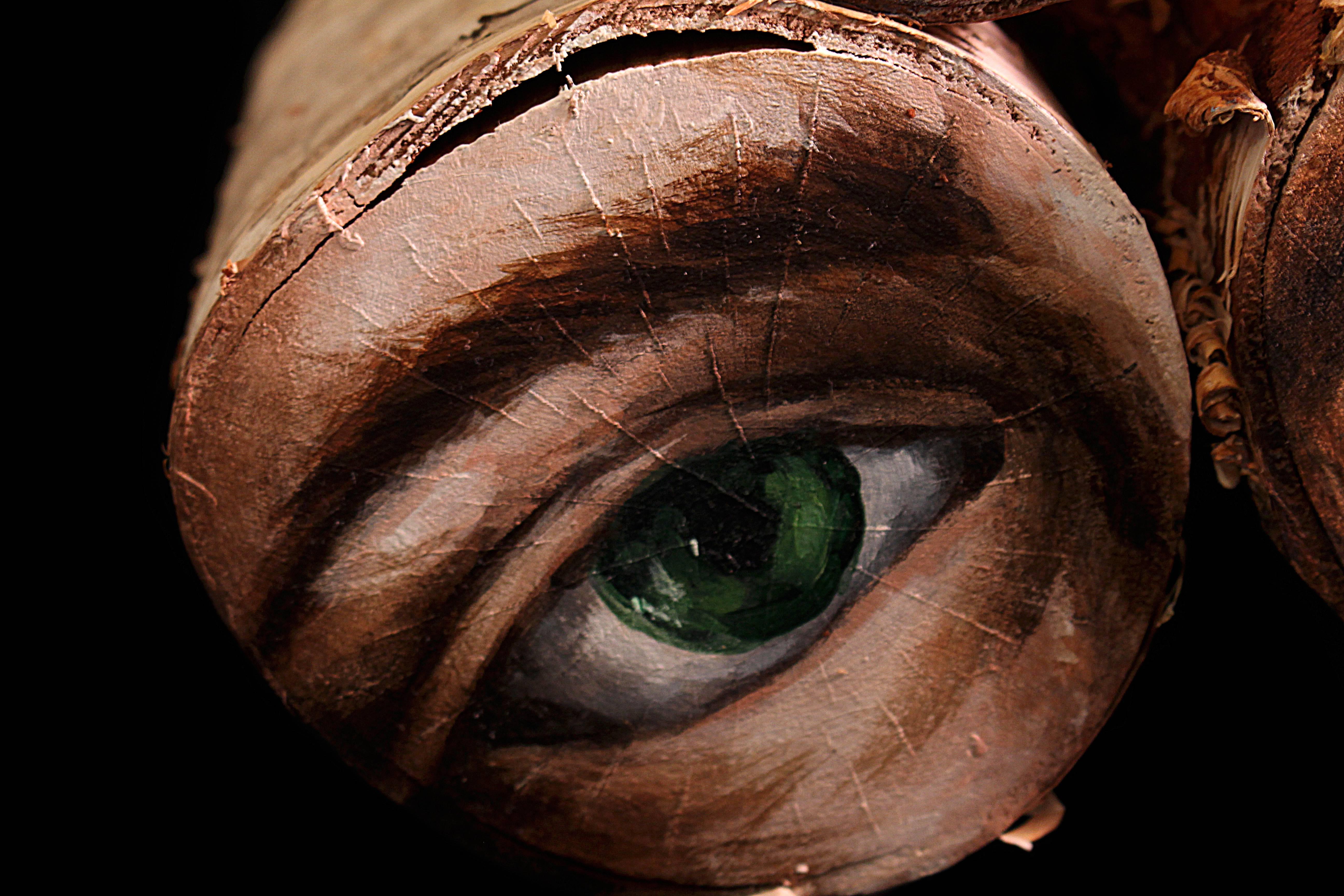 Green Clear Eye - Brown Still-Life Sculpture by Matteo Neivert