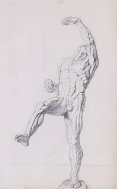 Antique Anatomical studies