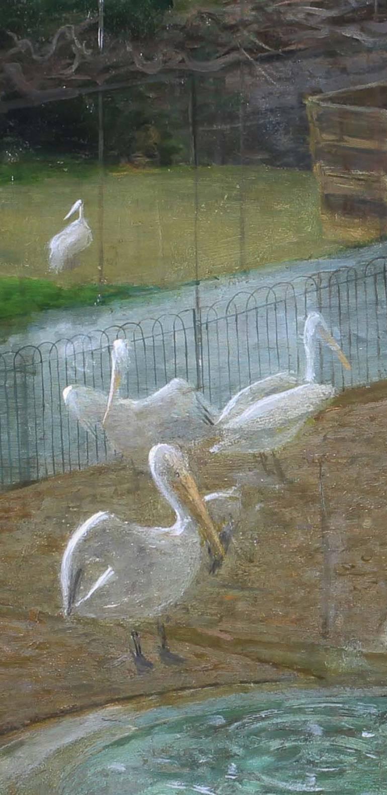 Pelicans at London Zoo - Painting by Fred Dubery