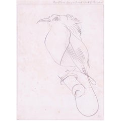 Simon Bussy, British, Bloomsbury Group 'Hunstein's Magnificent Bird of Paradise'