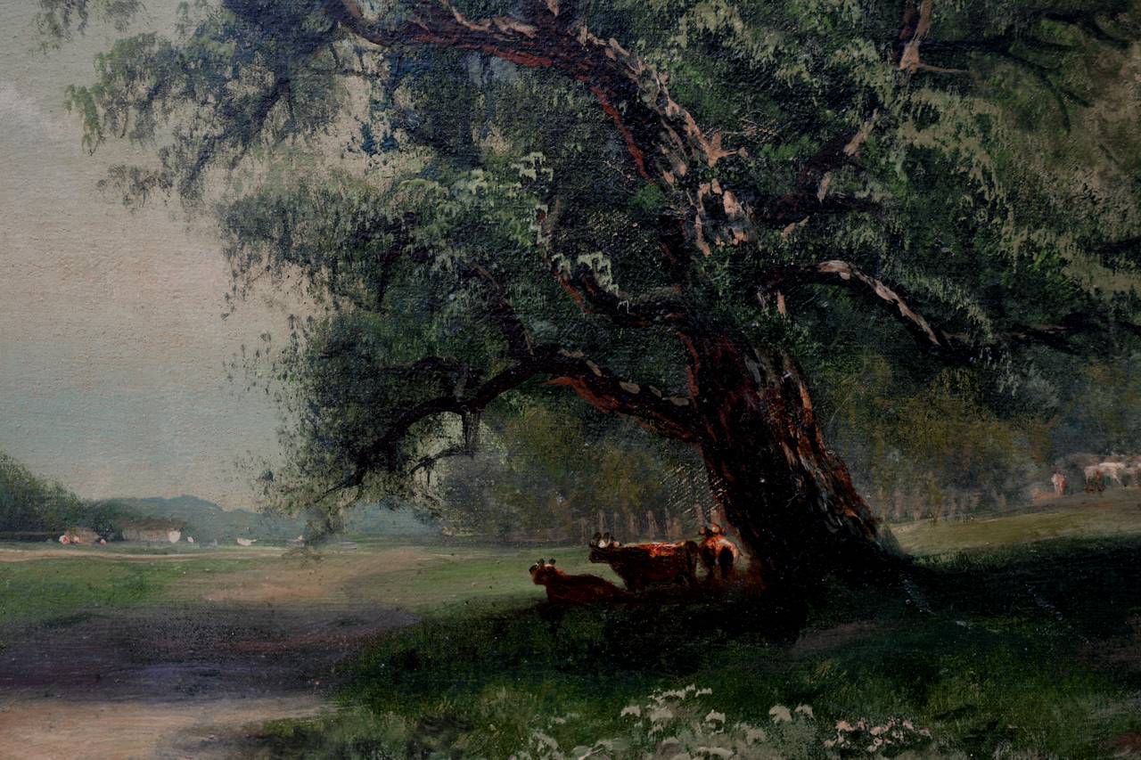 19th Century Napa Valley