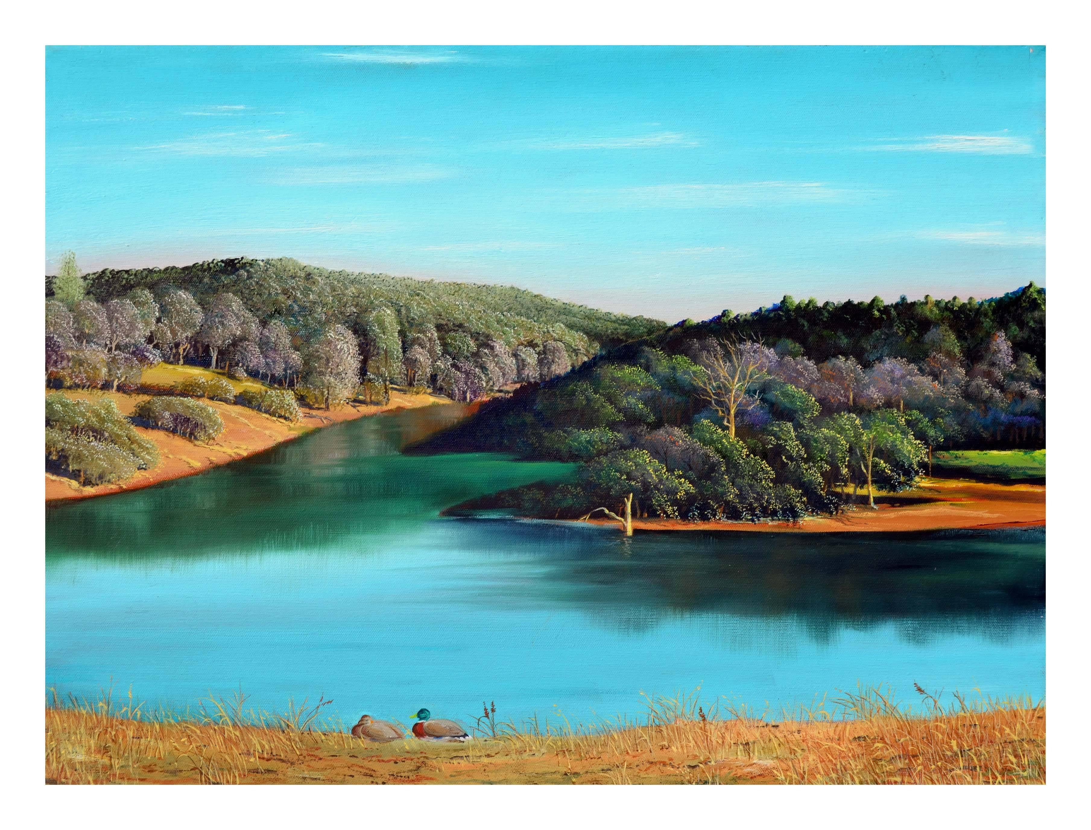 Landscape Painting Luke Stamos - Lake de canards de Californie du Nord, paysage réaliste